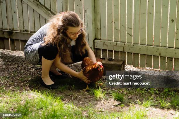 teenager-mädchen, das im frühling mit hühnchen im hinterhof spielt. - hen and chicks stock-fotos und bilder