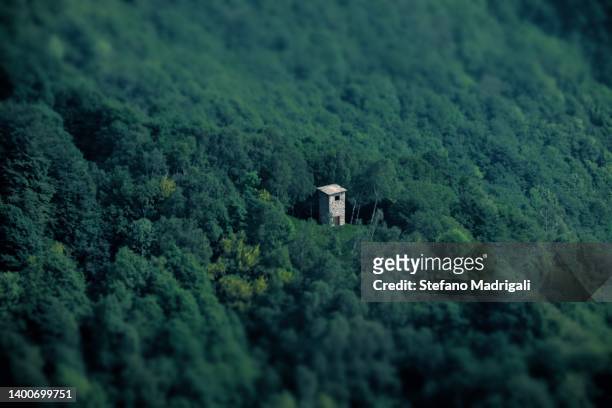 stone bell tower in the woods - bell tower tower stock pictures, royalty-free photos & images