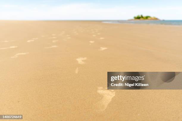 thornton beach, daintree national park, queensland, australia - footprints on beach australia stock-fotos und bilder