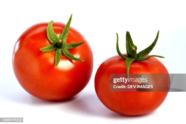 fresh red ripe tomatoes against white background - tomato isolated stock pictures, royalty-free photos & images