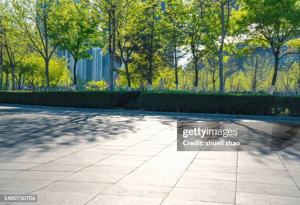 empty road against trees - shopping street stockfoto's en -beelden