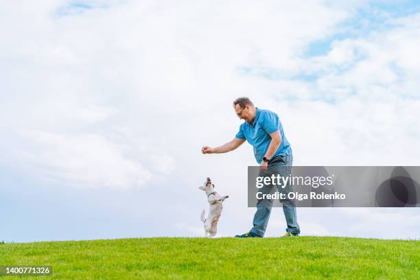 man in glasses playing with his white dog jack russel terrier in natural green parkland against blue sky. copy space - mature adult walking dog stock pictures, royalty-free photos & images