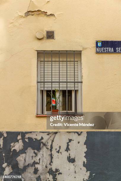 window with a flowerpot - name plate stock pictures, royalty-free photos & images