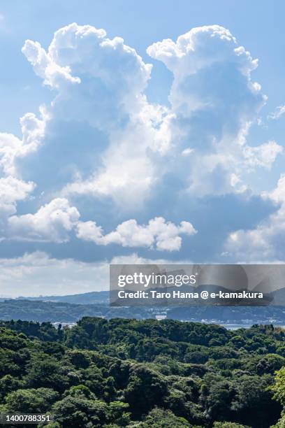 summer clouds over the beach in kanagawa of japan - sea ​​of ​​clouds stock pictures, royalty-free photos & images