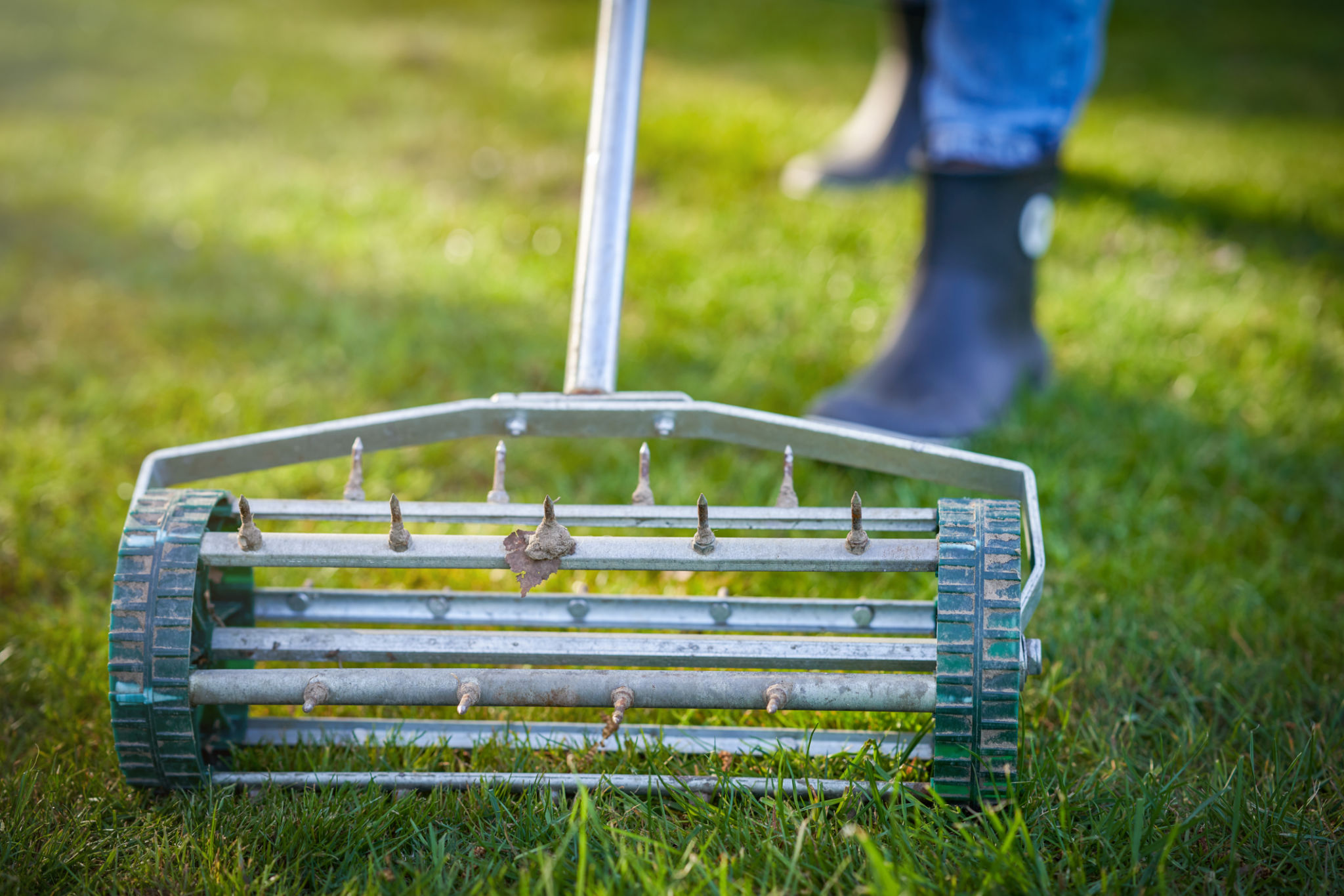 grass aeration