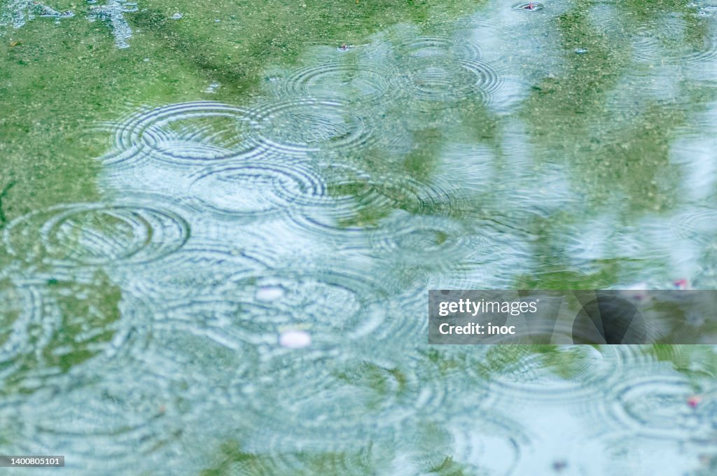 Ripples of rain
