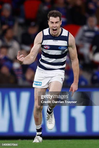 Jeremy Cameron of the Cats celebrates a goal during the round 12 AFL match between the Western Bulldogs and the Geelong Cats at Marvel Stadium on...