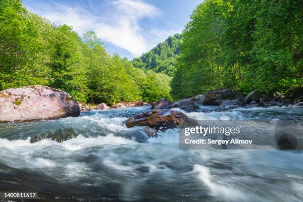 powerful stream of mountain river among rocks and forests - river rapids stock pictures, royalty-free photos & images