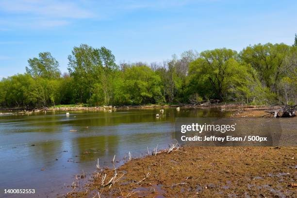 scenic view of lake against sky,collingwood,ontario,canada - collingwood ontario kanada bildbanksfoton och bilder