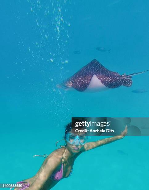 under water life in barbados - fish barbados stock pictures, royalty-free photos & images