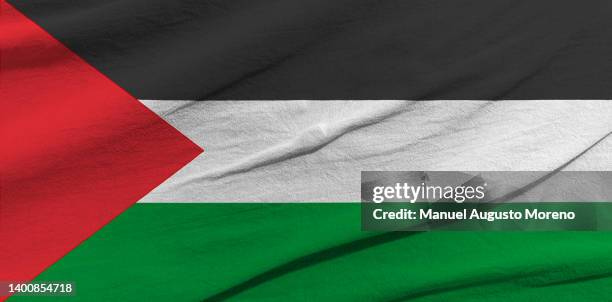 20.678 Palästinensische Flagge Bilder und Fotos - Getty Images