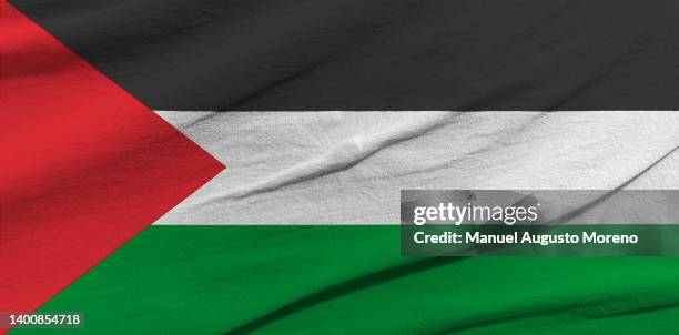 flag of palestine - palestinian flag fotografías e imágenes de stock