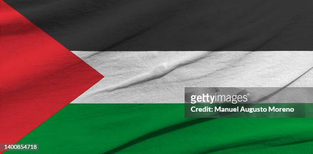 flag of palestine - palestinian flag stock pictures, royalty-free photos & images