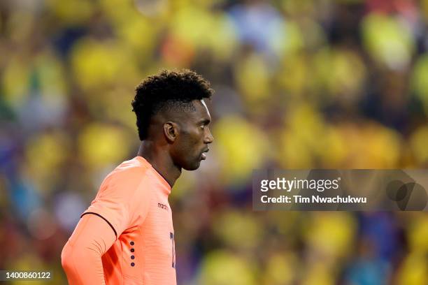 Alexander Domínguez of Ecuador looks on against Nigeria at Red Bull Arena on June 02, 2022 in Harrison, New Jersey.