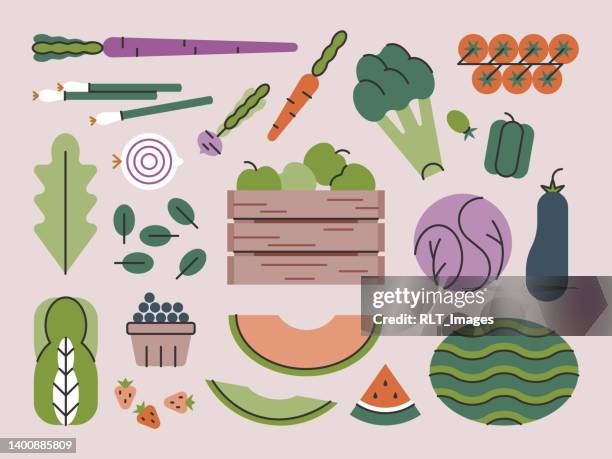 stockillustraties, clipart, cartoons en iconen met fresh produce harvest — brightline series - crate