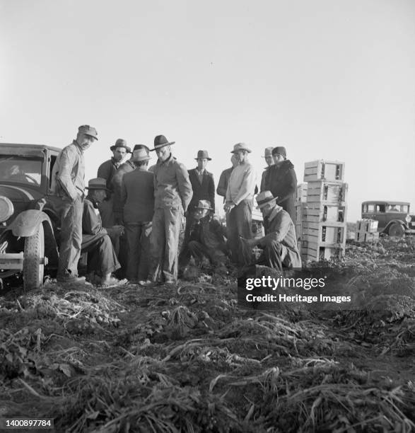 Migratory field workers at 5 a.m. Waiting in the carrot field to hold a place to work, which starts at 8 a.m.. Artist Dorothea Lange.