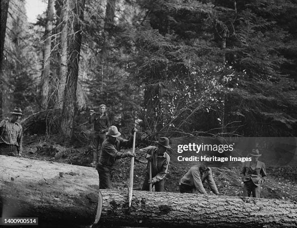 Members Of Ola Self-Help Sawmill Co-Op Rolling White Fir Log...