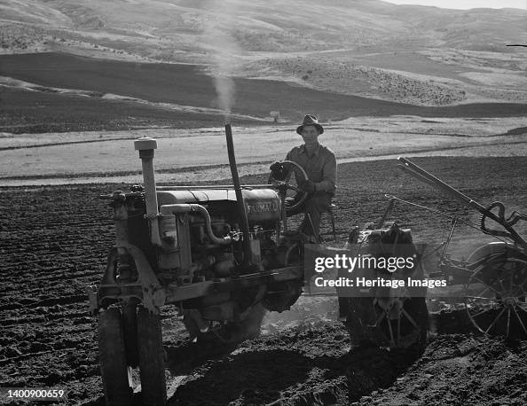 Young Farmer