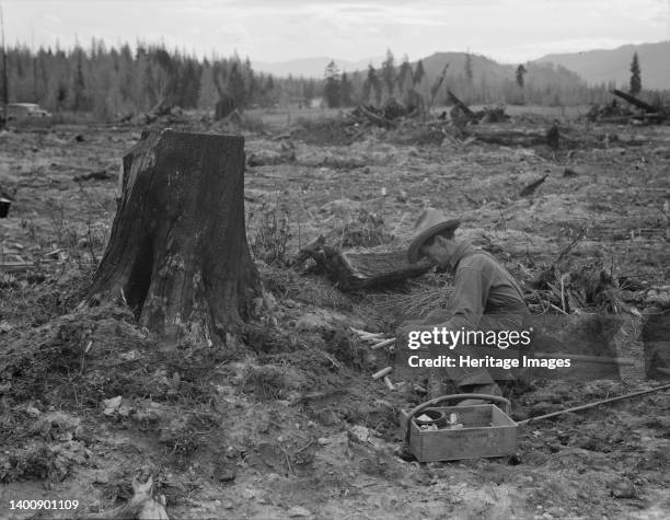 Dynamiting Out Rocks 75 Dynamite Washington Stock Photos, High-Res Pictures, and Images ...