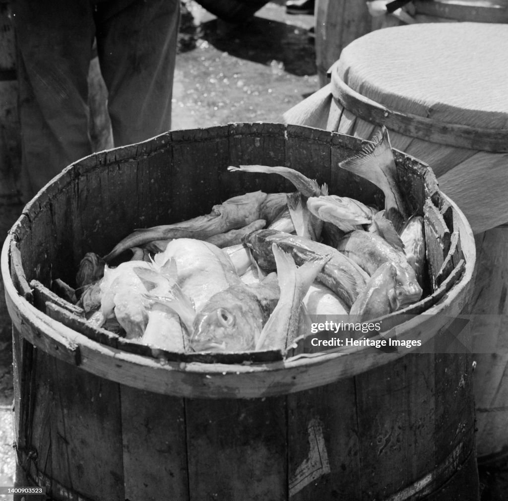 Barrels Of Codfish