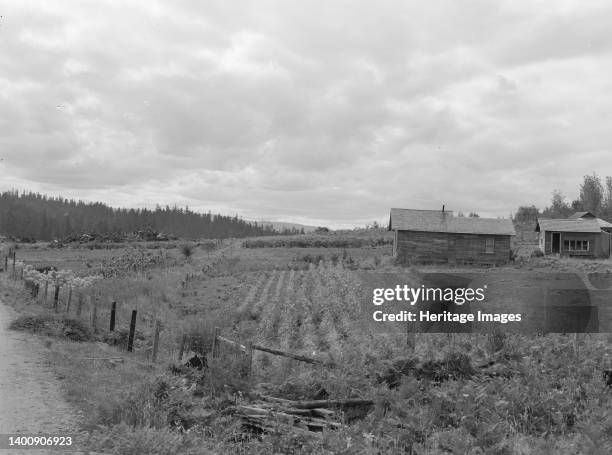 Stump farm seen from the road. Note stump pile in distant field at left, where the bulldozer has just cleared another patch. Farm Security...