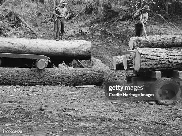 Members Of Ola Self-Help Sawmill Co-Op Rolling White Fir Log...