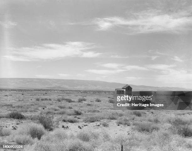 South of Quincy, Grant County, Washington. Abandoned dry land farm in the Columbia Basin. Artist Dorothea Lange.