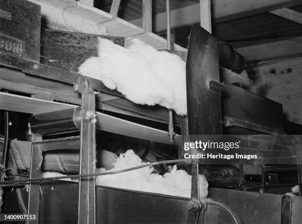 Cotton from the bale is transported by belt to machine for making cotton bats. Weighing device is so sensitive that it directs the cotton from one...