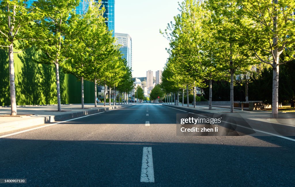 City street under the shade of trees