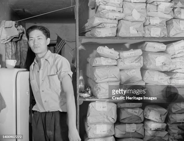 Washington, D.C. Johnnie Lew, owner of the laundry under the apartment of Mrs. Ella Watson, a government charwoman. Artist Gordon Parks.