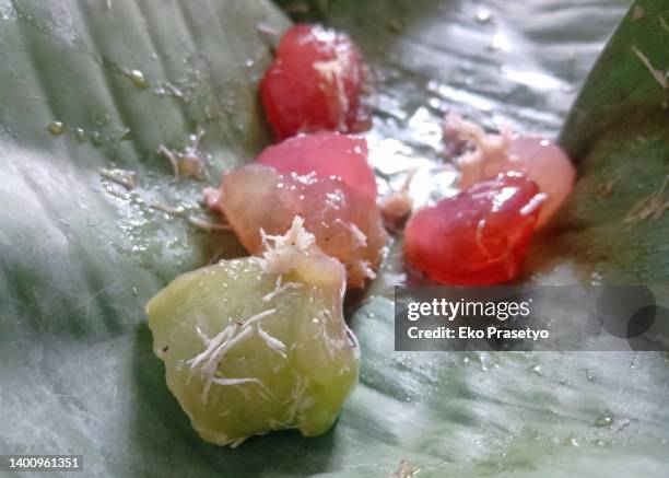 Traditional Java Cake 55 Cassava Cake Stock Photos, High-Res Pictures, and Images - Getty Images