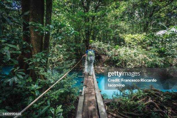 national park tenorio, river crossing into the rainforest. costa rica - iacomino costa rica stock pictures, royalty-free photos & images