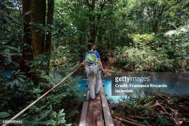 national park tenorio, river crossing into the rainforest. costa rica - iacomino costa rica - fotografias e filmes do acervo