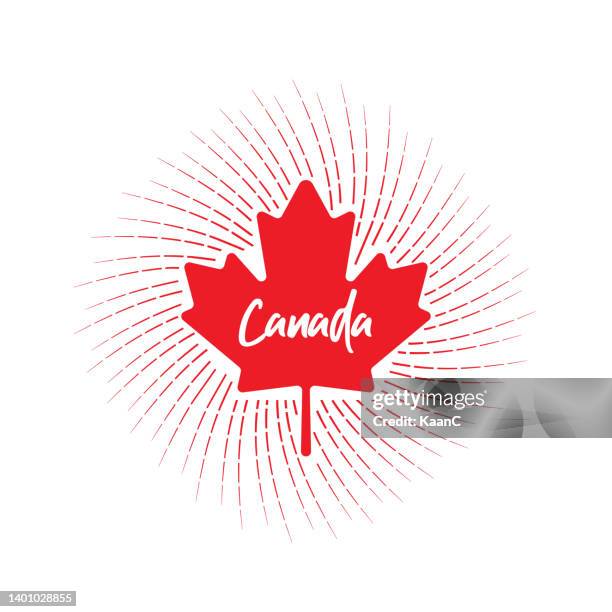 maple leaf icon. canadian symbol. vector illustration. stock illustration - canadian maple leaf icon stock illustrations