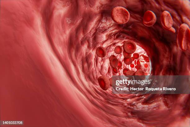 human blood cells, 3d render - blood vessels stockfoto's en -beelden