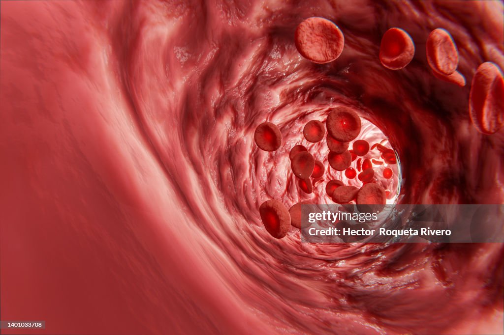 Human Blood cells, 3d render