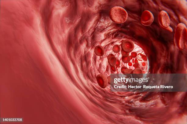 human blood cells, 3d render - blood flow stock pictures, royalty-free photos & images