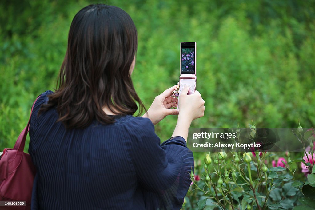 Woman photographing roses