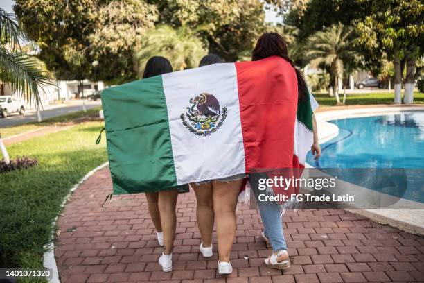 rear view of friends walking with mexican flag outdoors - mexico soccer bildbanksfoton och bilder