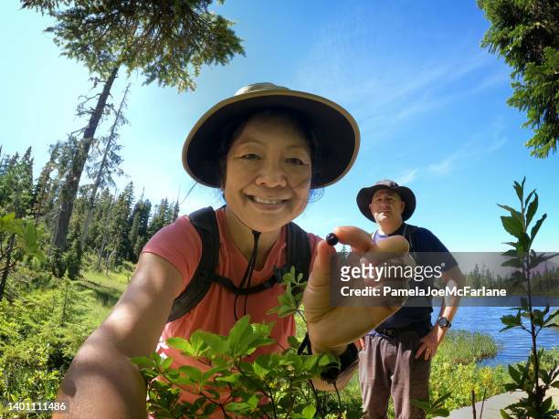 mature asian woman picking wild huckleberries while hiking with husband - the old strathcona stock pictures, royalty-free photos & images
