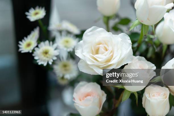 25,883 Beautiful White Roses Stock Photos, High-Res Pictures, and ...