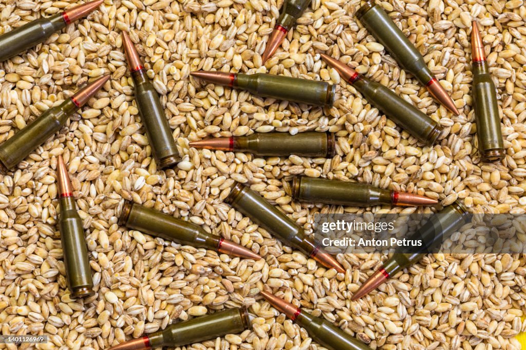Grain and cartridges of the Kalashnikov assault rifle. Concept of food supply crisis and global food scarcity because of war in Ukraine.
