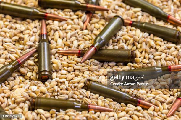 grain and cartridges of the kalashnikov assault rifle. concept of food supply crisis and global food scarcity because of war in ukraine. - bullets stock-fotos und bilder