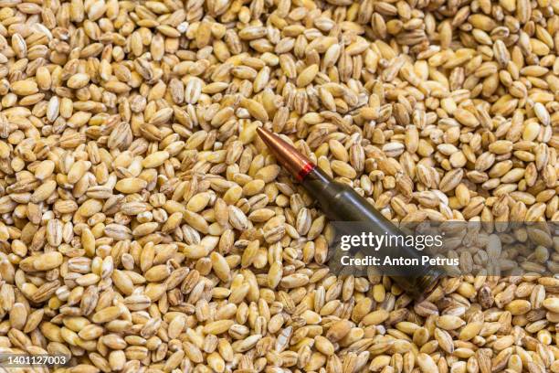 grain and cartridges of the kalashnikov assault rifle. concept of food supply crisis and global food scarcity because of war in ukraine. - bullets stock-fotos und bilder