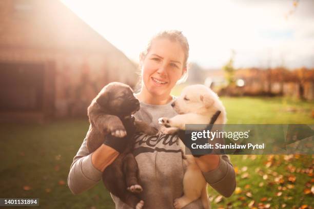 portrait of woman in black gloves holding two puppies in backyard - multiple pets stock pictures, royalty-free photos & images