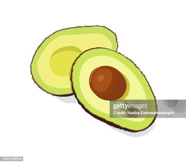 bildbanksillustrationer, clip art samt tecknat material och ikoner med avocado cut in half on white background illustration stock - store stock illustrations