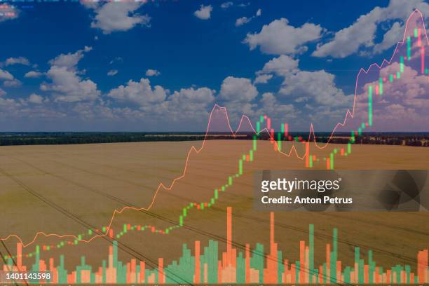 aerial view of wheat field on the background of stock charts. the concept of rising prices for grain and food - punishment stocks stock-fotos und bilder