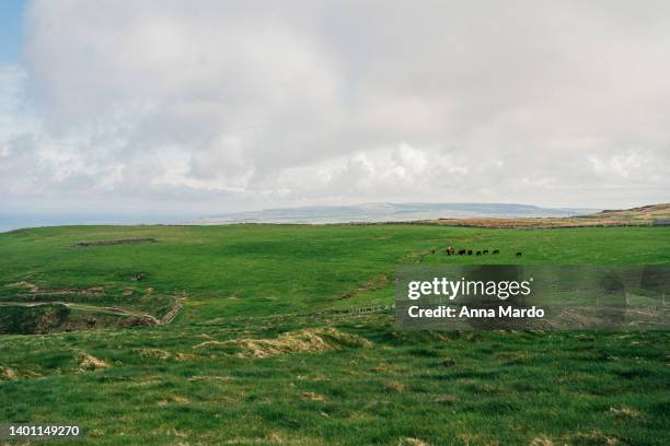 irish landscape with green fields - ireland green field stock pictures, royalty-free photos & images