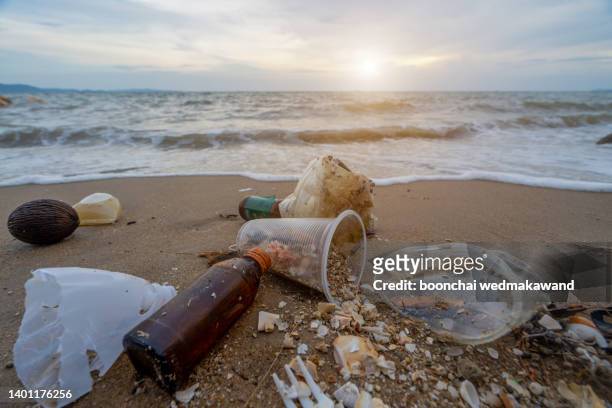 environmental pollution wastes on the beach. - pollution eau photos et images de collection