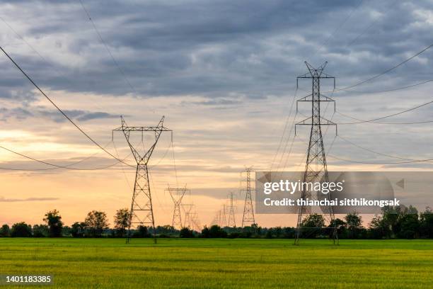 large pylons with power lines stretching - cable de energía eléctrica fotografías e imágenes de stock